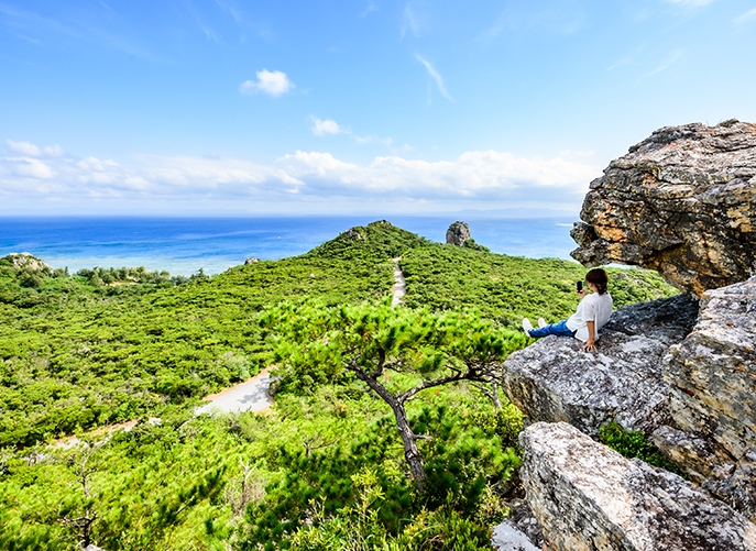 心躍る景色！ 思い出の一枚を撮りに行こう！ フォトジェニック スポット