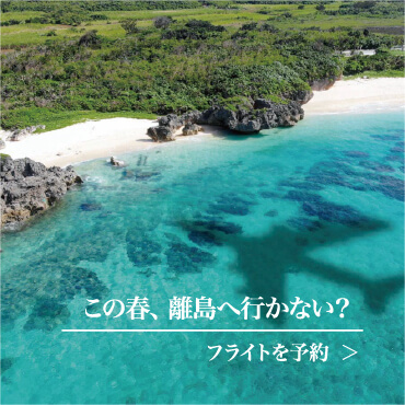 この春、離島へ行かない？ フライトを予約