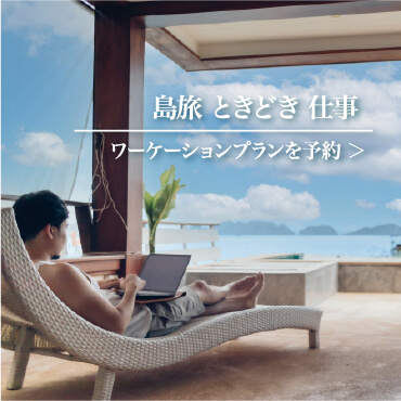 島旅 ときどき 仕事 ワーケーションプランを予約