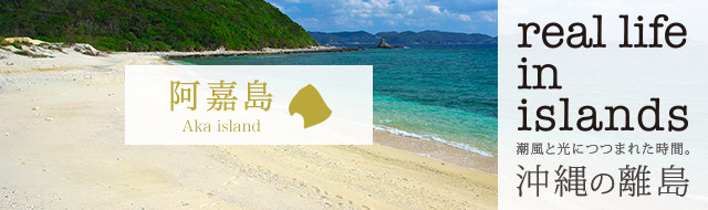 阿嘉島を巡る旅 Real Life In Islands 沖縄離島専門の観光情報サイト リトハク