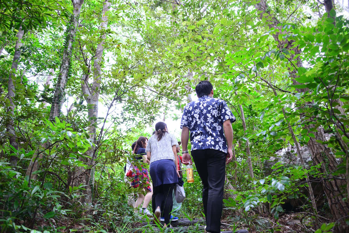 久米島の豊かな自然に触れる ニブチの森ツアー