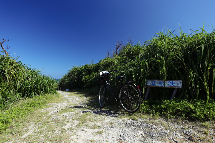 鳩間島の観光スポットを巡ろう！気ままに自転車トリップ♪