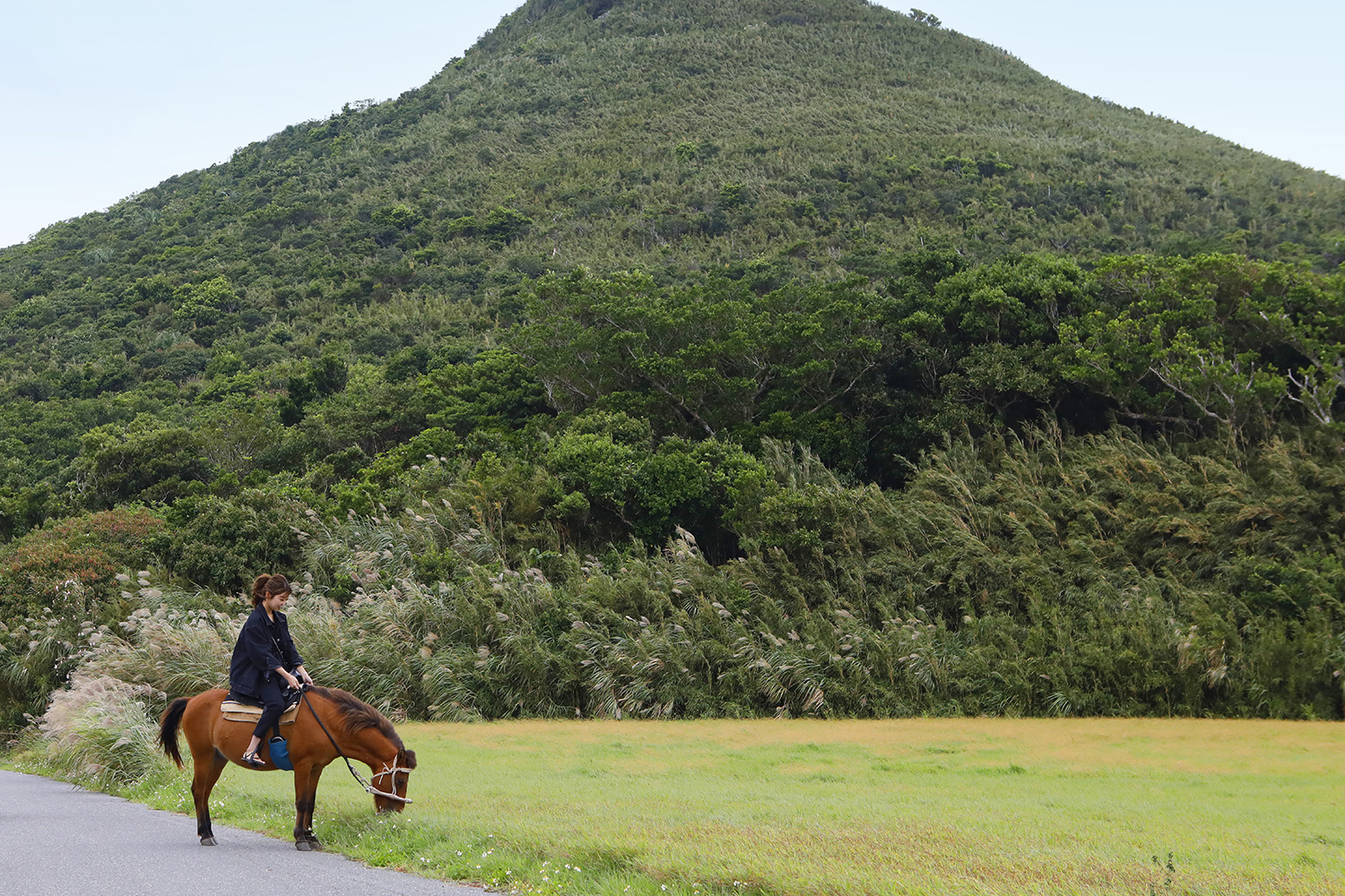 馬のいる景色 13084_506853234743056121171_90