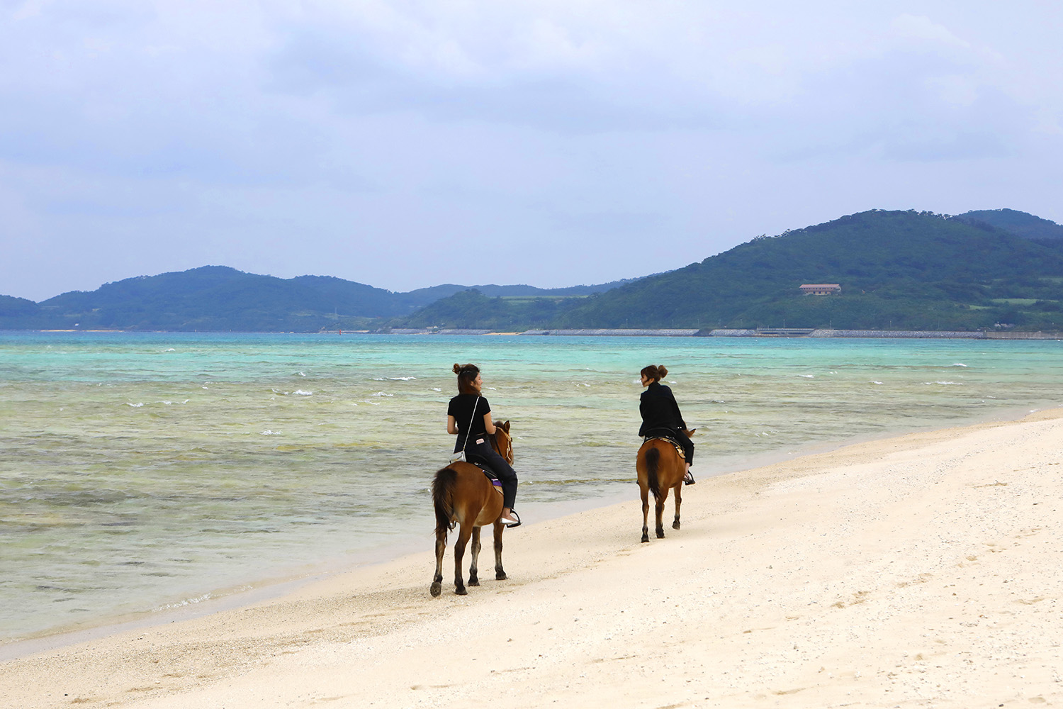 雄大な景色の中で、のんびり優雅に乗馬体験！ | 沖縄離島専門の観光