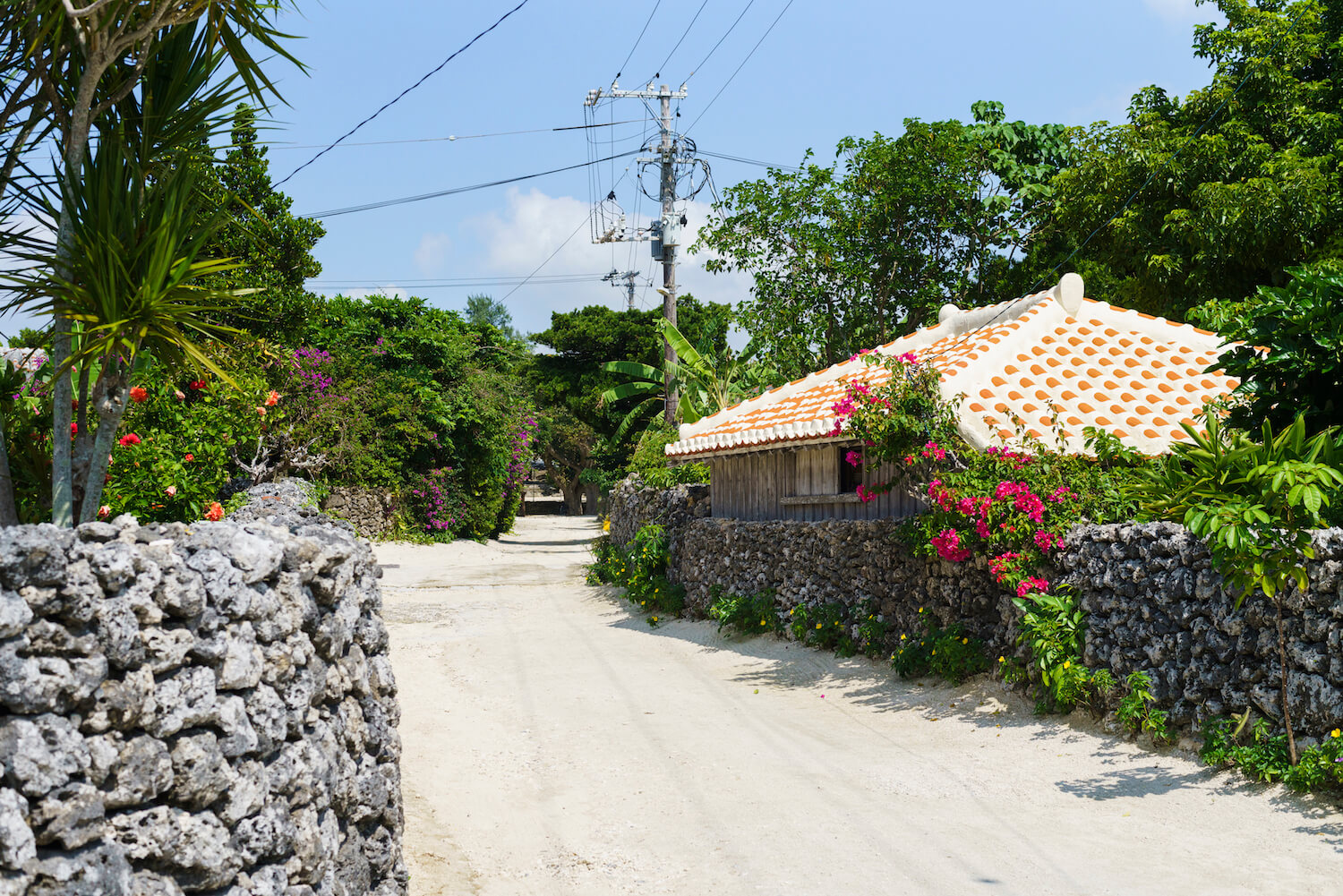 竹富島風景1986 竹富島風景1986