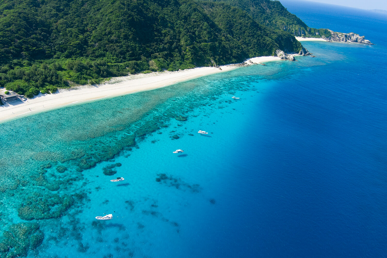 美しい自然に心満たされる慶良間諸島の旅｜沖縄離島専門の観光情報サイト【沖縄しまさんぽ】