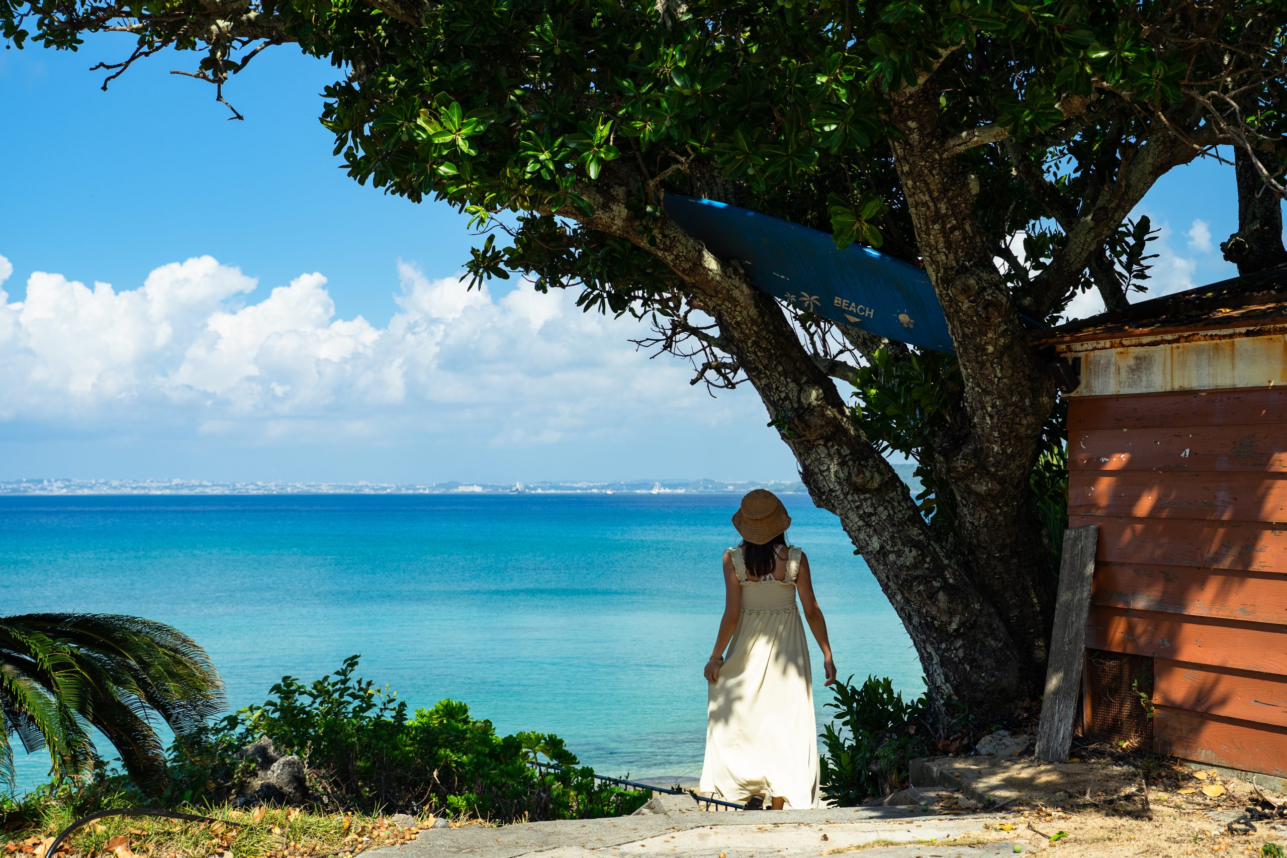 音楽ライブを毎日生配信！津堅島を音楽で盛り上げる「神谷荘」