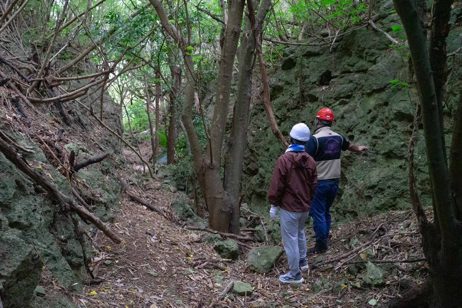 北大東島の歴史ロマンに触れる「燐鉱山遺跡トレッキング」 | 沖縄離島