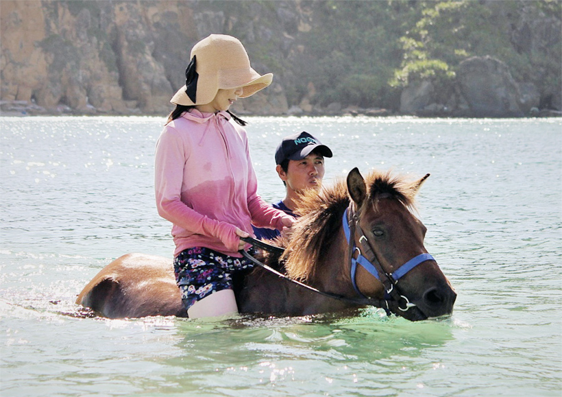 与那国馬　馬鞍 与那国島でヨナグニウマと海遊び（うみあしび）をしよう！ | Page 4360